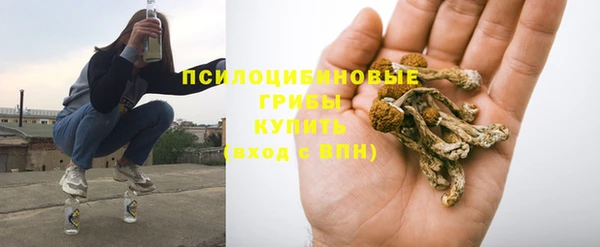 спайс Алексин