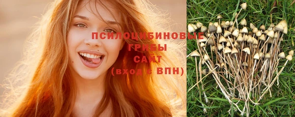 спайс Алексин