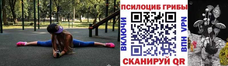 закладки  Усть-Лабинск  Галлюциногенные грибы Psilocybine cubensis 